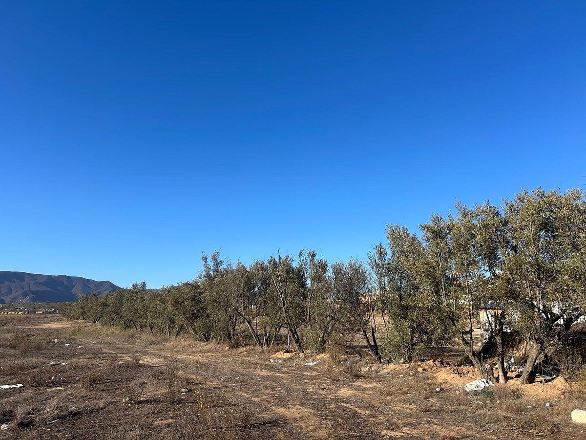 Terreno en El Porvenir, Ensenada, foto 7 de 9