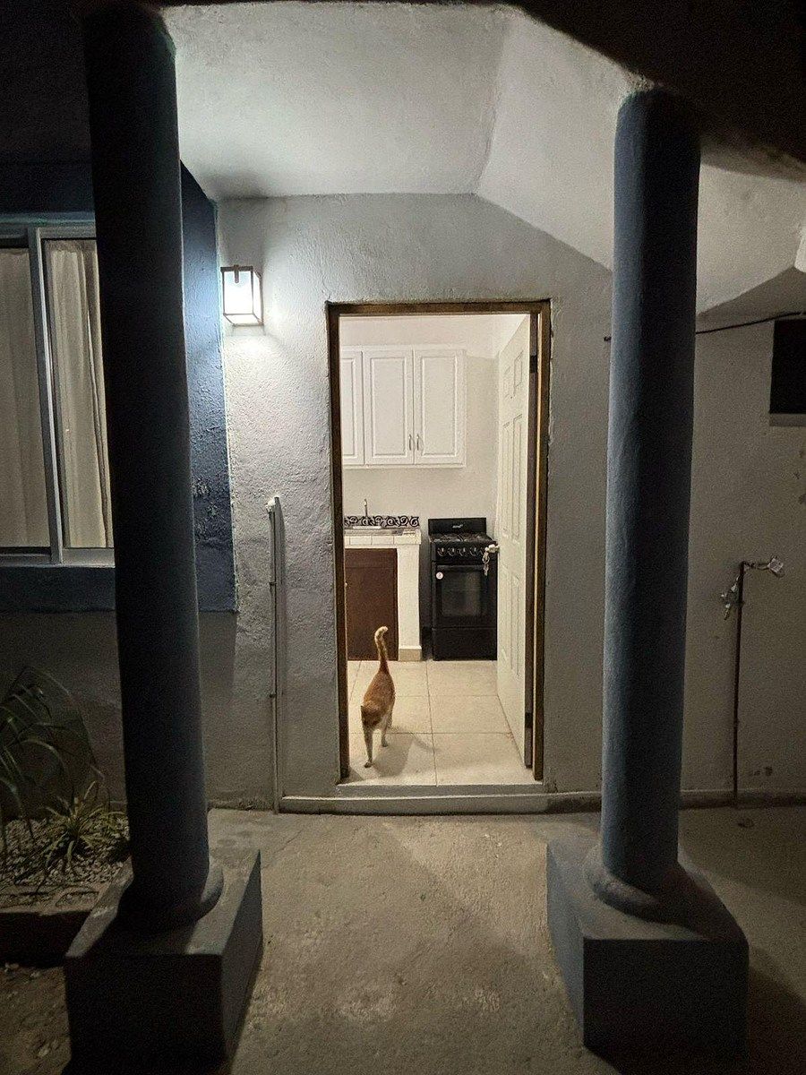 Apartment in El Zacatal, Los Cabos, photo 31 of 50