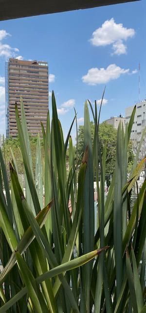 Apartment in Lomas de Chapultepec I Sección, Miguel Hidalgo, photo 19 of 20