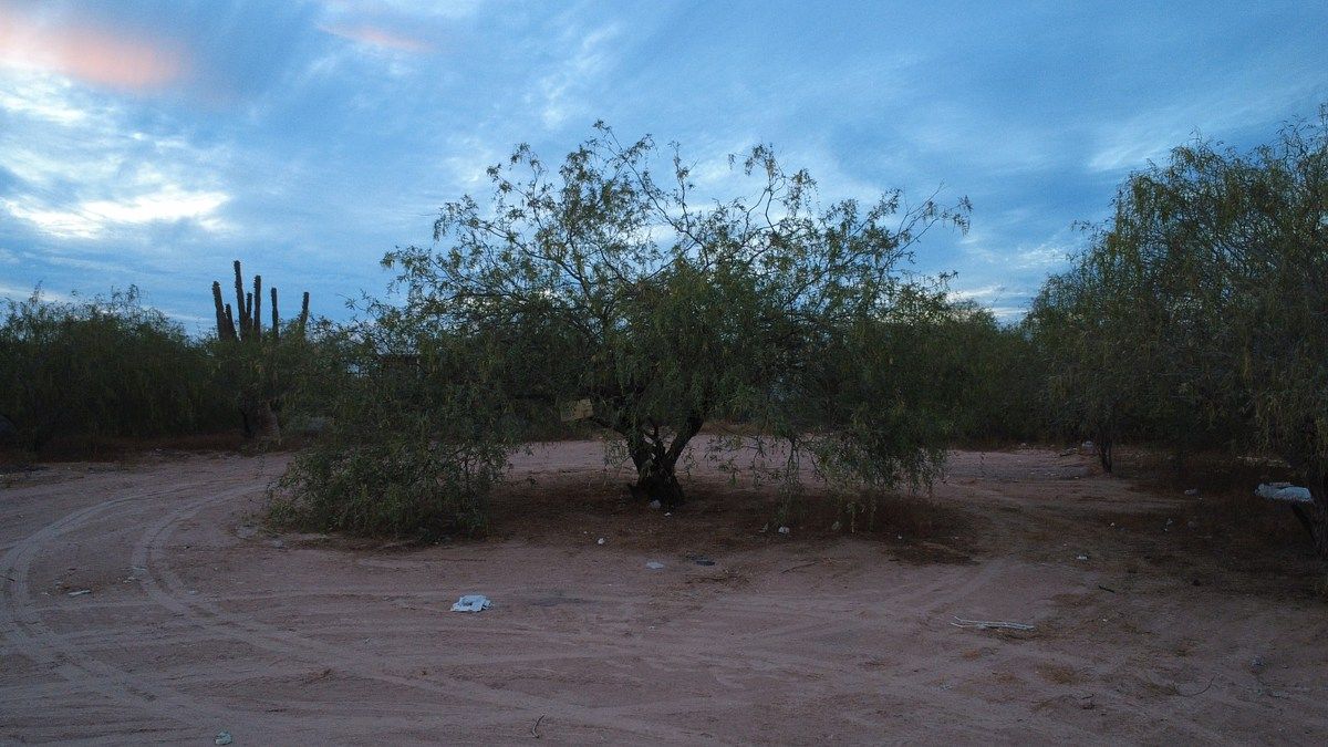 Lot in El Centenario, La Paz, photo 4 of 13