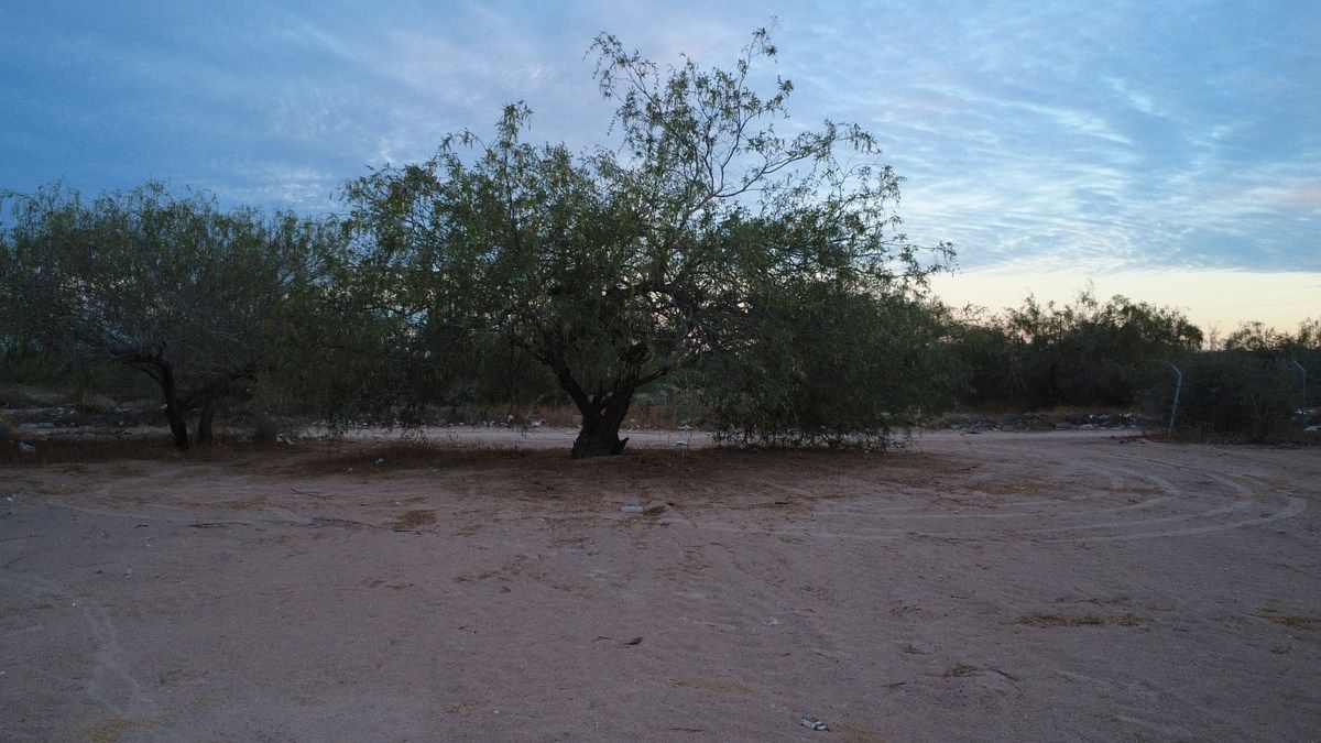 Lot in El Centenario, La Paz, photo 6 of 13