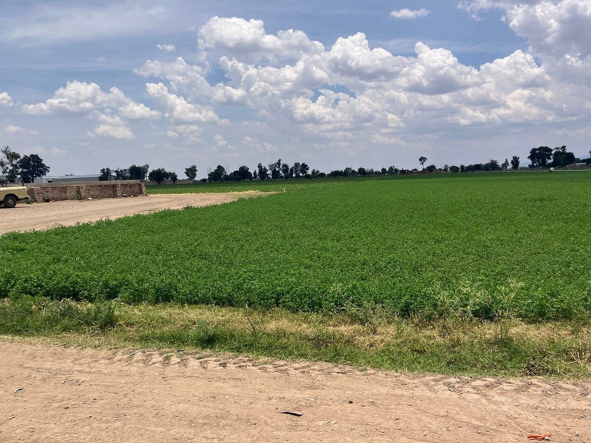 Rancho en Coecillo, Silao De La Victoria, foto 4 de 14