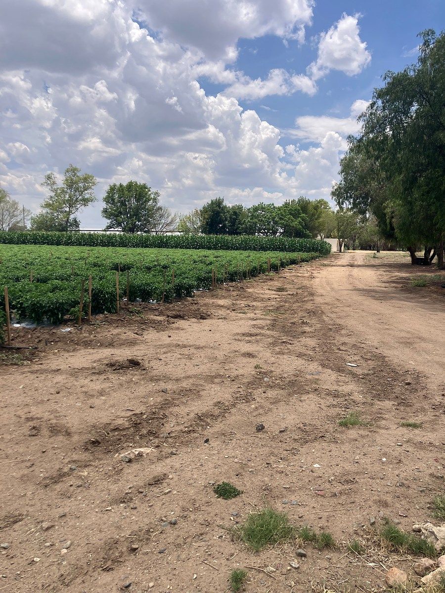 Rancho en Coecillo, Silao De La Victoria, foto 8 de 14