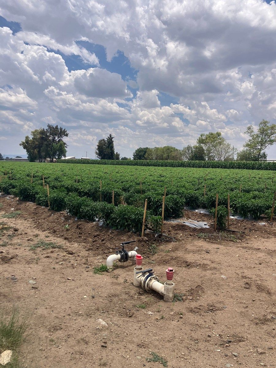 Rancho en Coecillo, Silao De La Victoria, foto 10 de 14