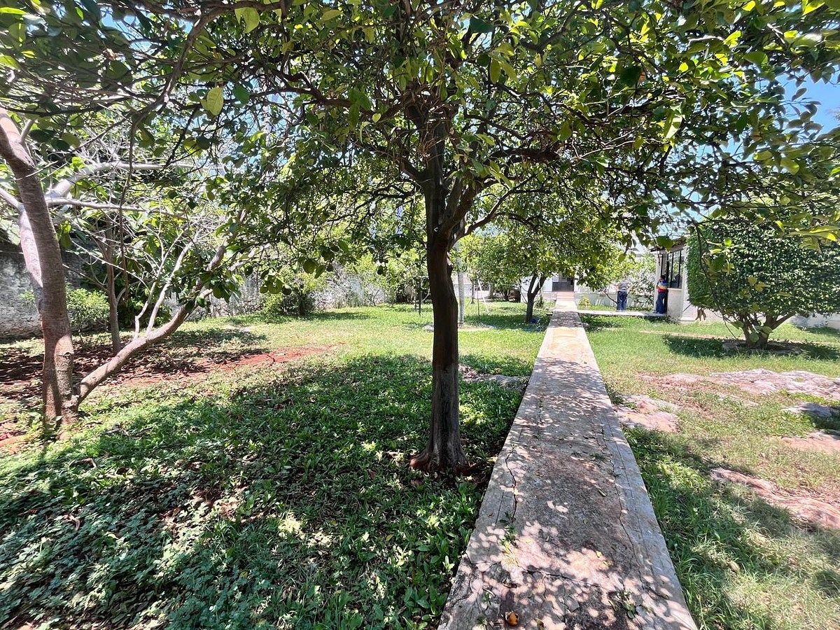 Casa en Itzimna, Mérida, foto 18 de 34