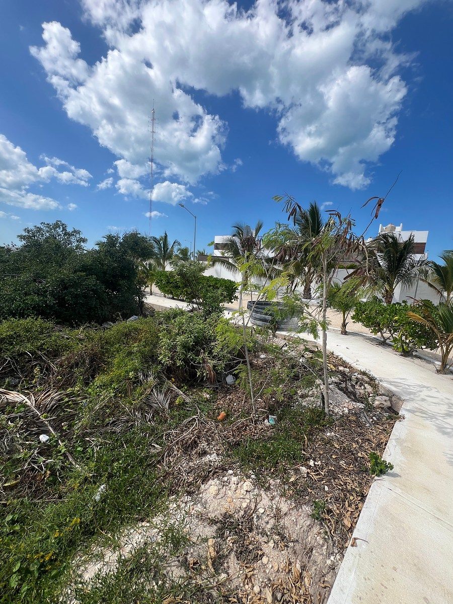 Lot in Chelem, Progreso, photo 2 of 19