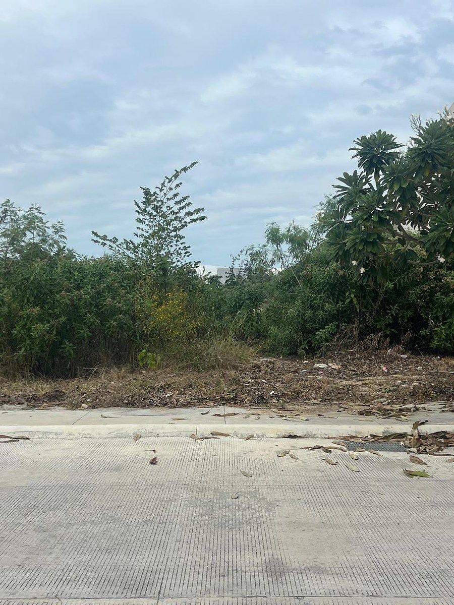 Lote em Komchen, Mérida, foto 11 de 20