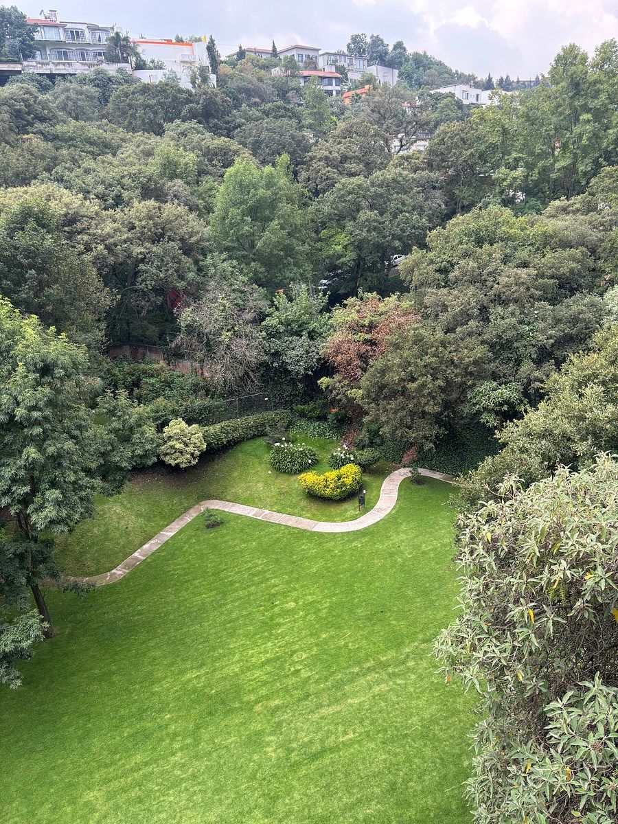 Apartment in Bosques de las Lomas, Cuajimalpa de Morelos, photo 44 of 49