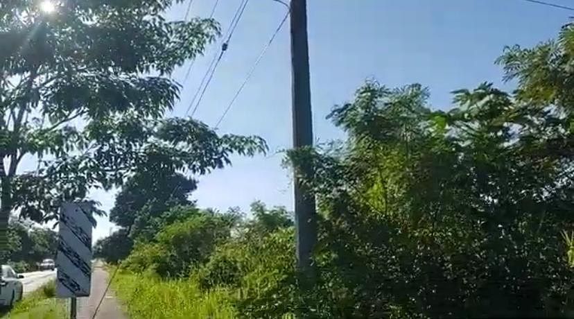 Frente del Terreno con Alumbrado y Energía Eléctrica., foto 4 de 12