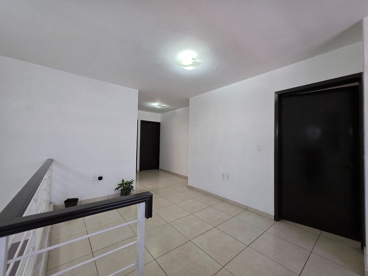 distribuidor, photo 9 of 16