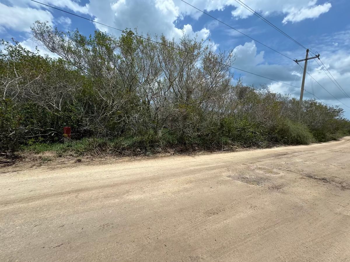 Lot in Sisal, Hunucmá, photo 7 of 12