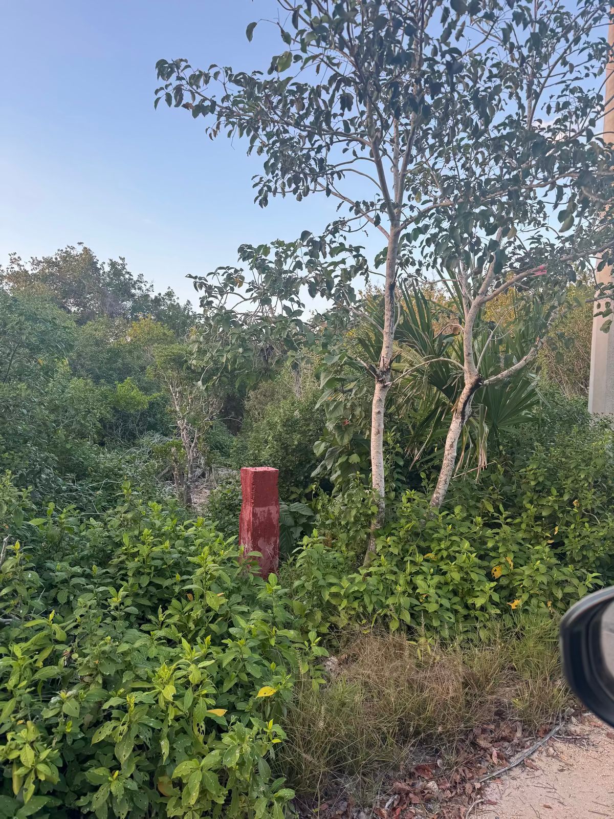 Lot in Sisal, Hunucmá, photo 9 of 12