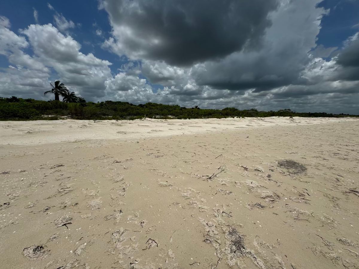 Lot in Sisal, Hunucmá, photo 11 of 12