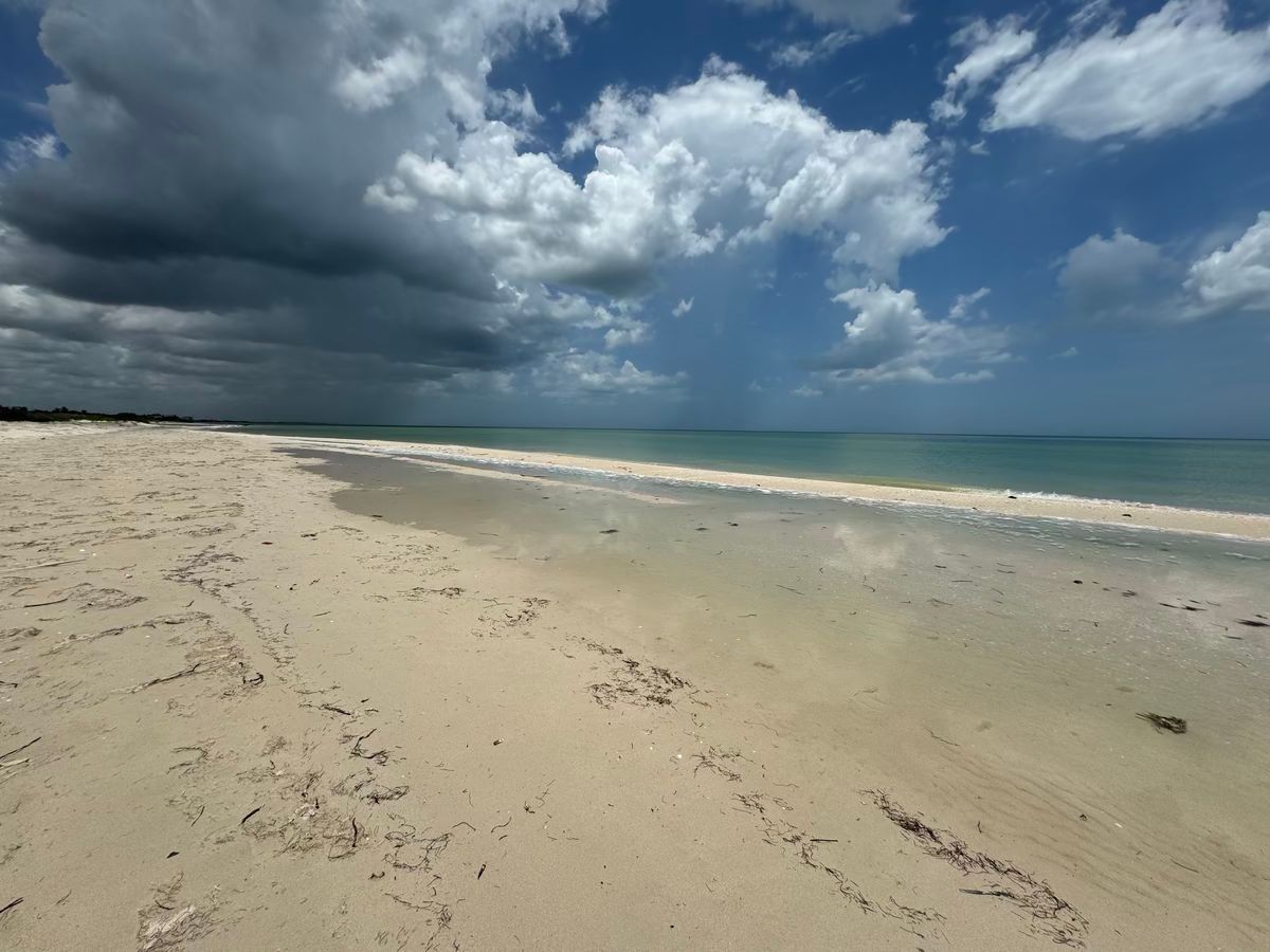 Lot in Sisal, Hunucmá, photo 12 of 12