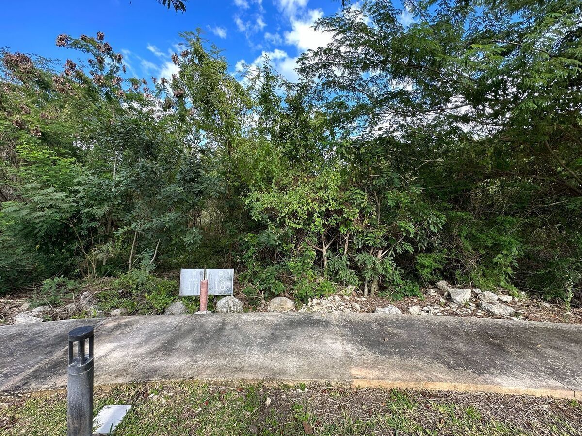 Lot in Chablekal, Mérida, photo 2 of 16