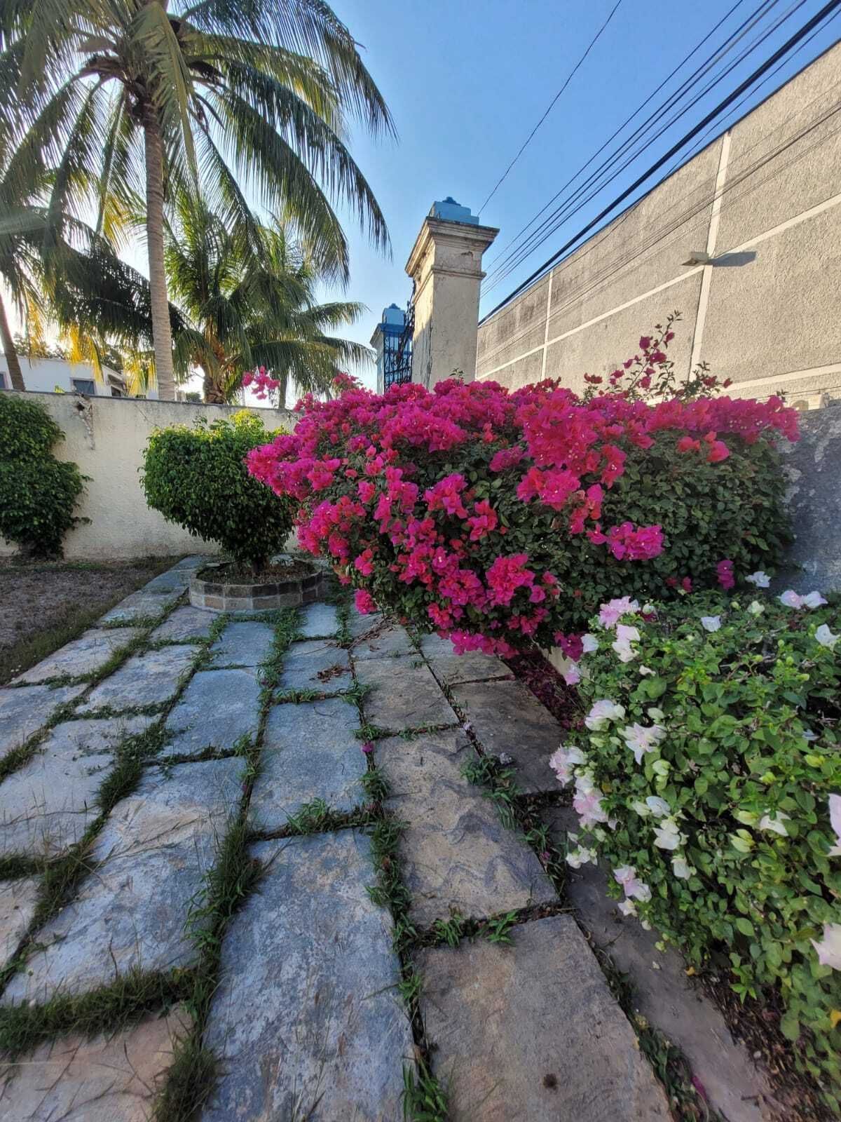 Casa em Mérida Centro, Mérida, foto 3 de 50