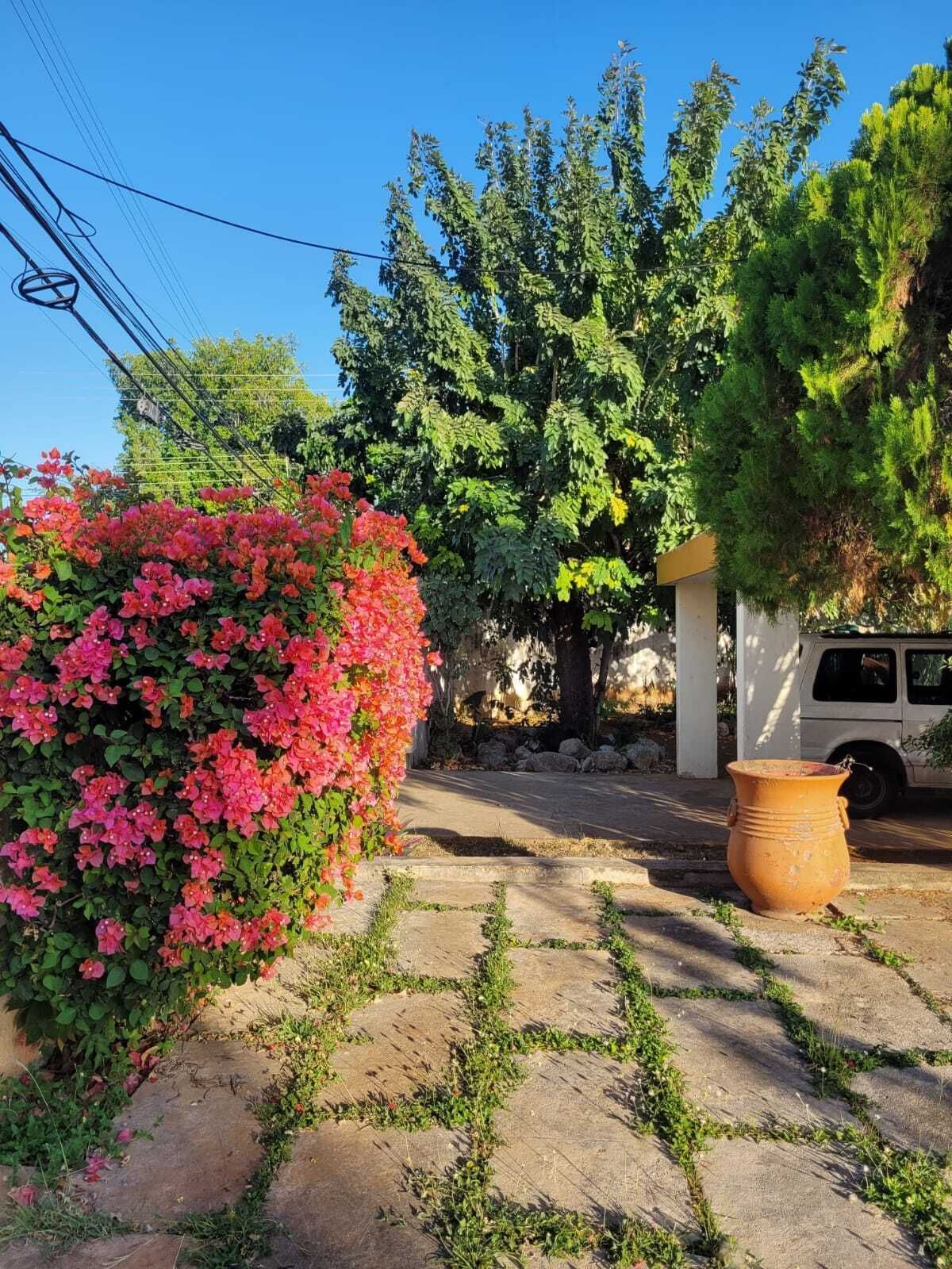 Casa em Mérida Centro, Mérida, foto 5 de 50