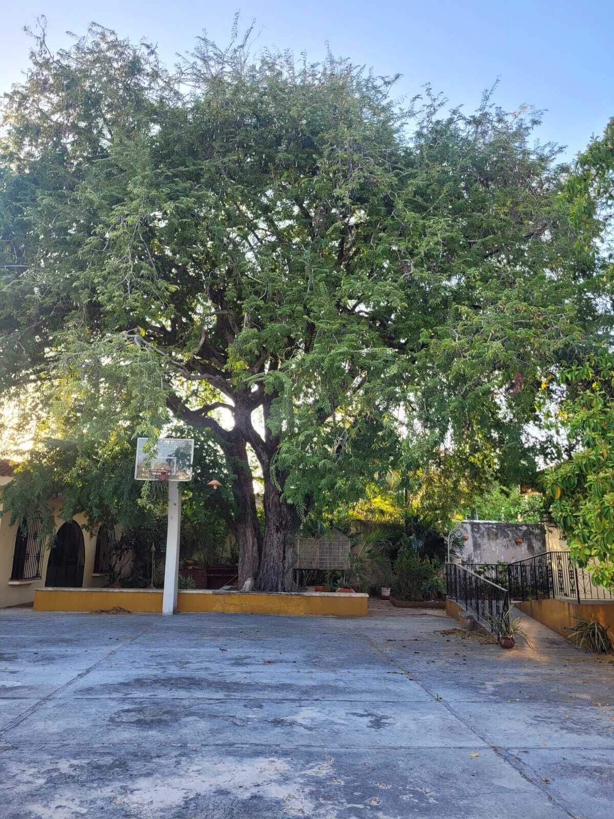 Casa em Mérida Centro, Mérida, foto 45 de 50