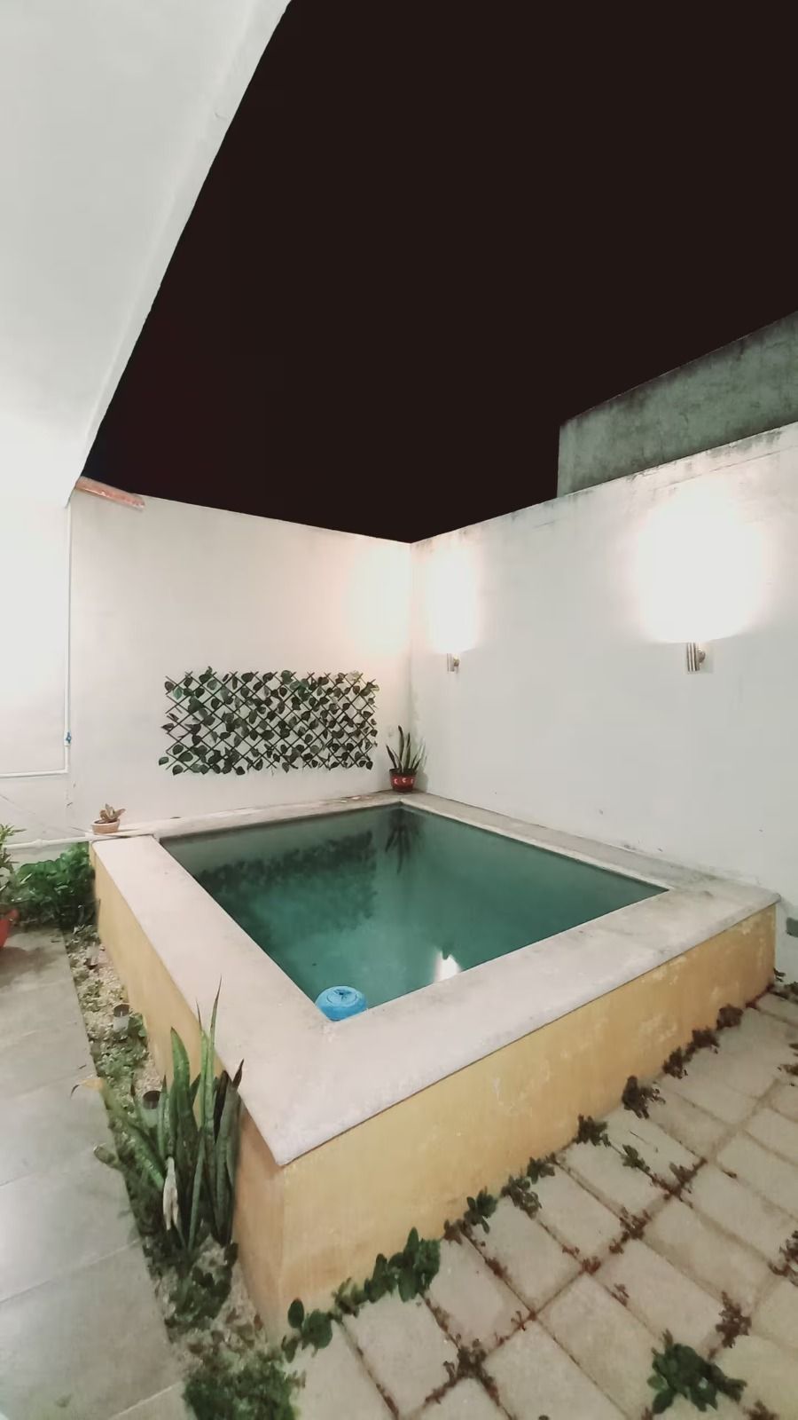 Casa en Garcia Gineres, Mérida, foto 33 de 36