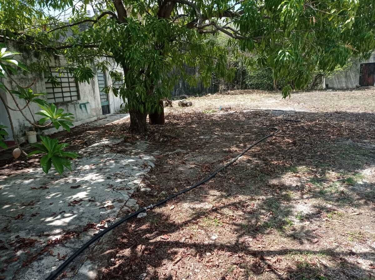 House in Lopez Mateos, Mérida, photo 4 of 15