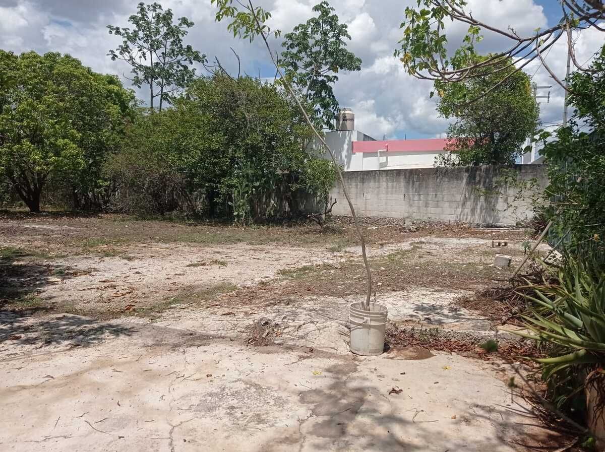 House in Lopez Mateos, Mérida, photo 8 of 15