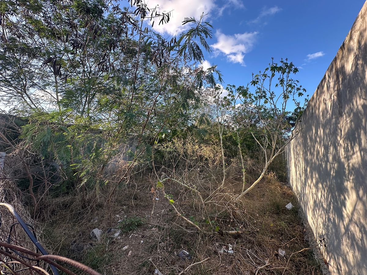Lote em Chichi Suárez, Mérida, foto 2 de 10