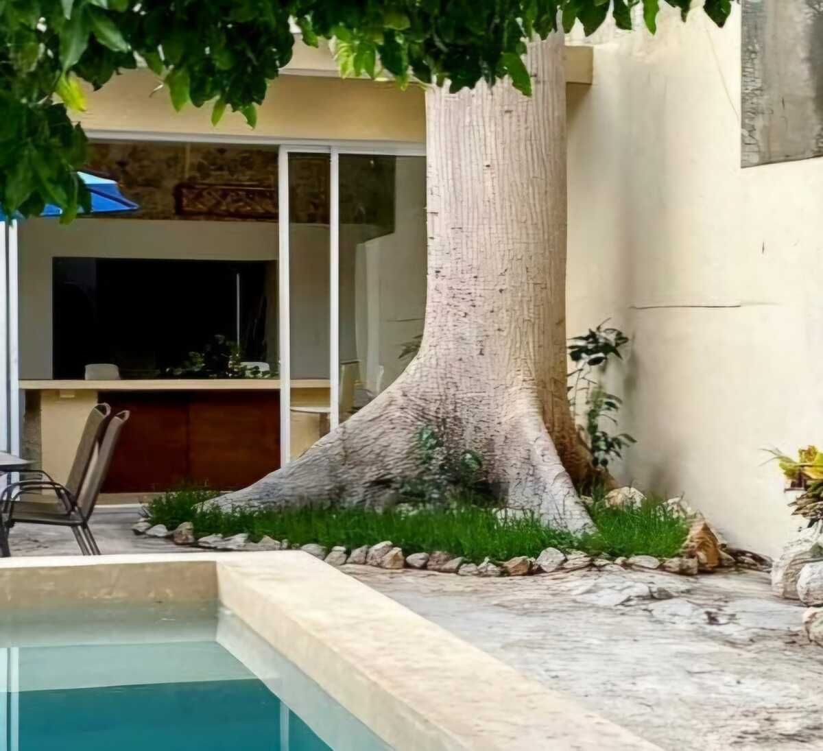 Casa em Mérida Centro, Mérida, foto 9 de 19