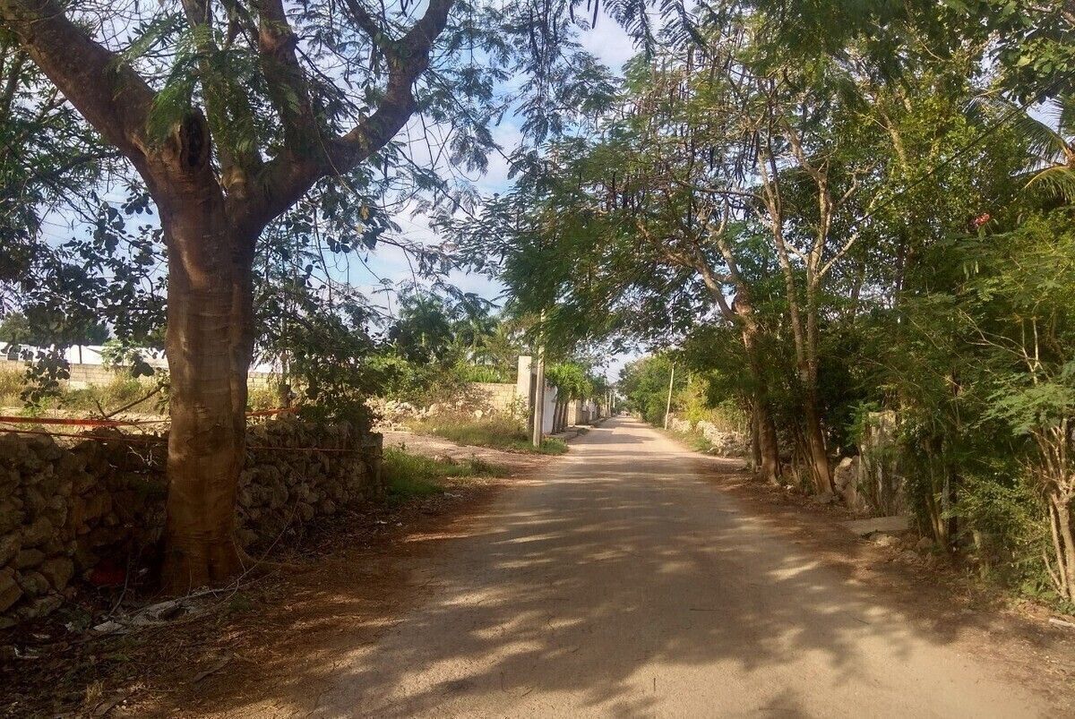 Terreno en Chichi Suárez, Mérida, foto 3 de 6