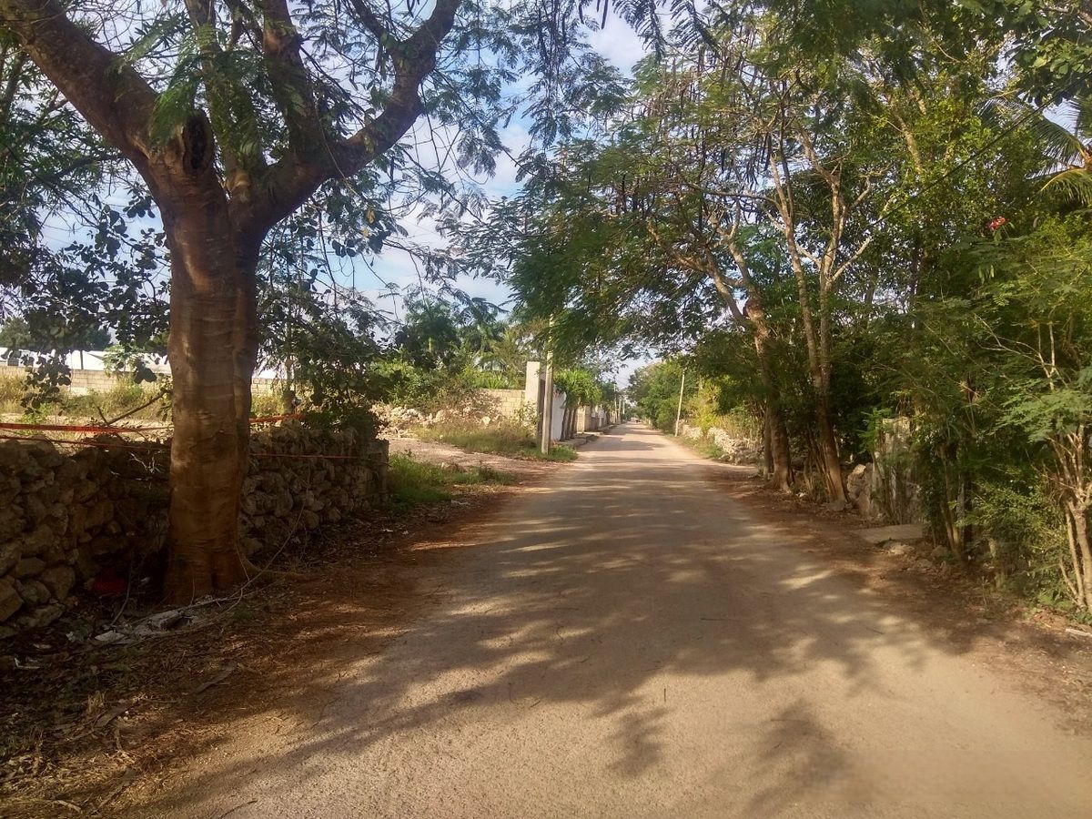 Terreno en Chichi Suárez, Mérida, foto 6 de 6