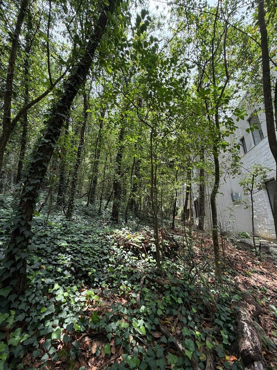 Lot in Bosques de San Ángel Sector Palmillas, San Pedro Garza García, photo 13 of 15