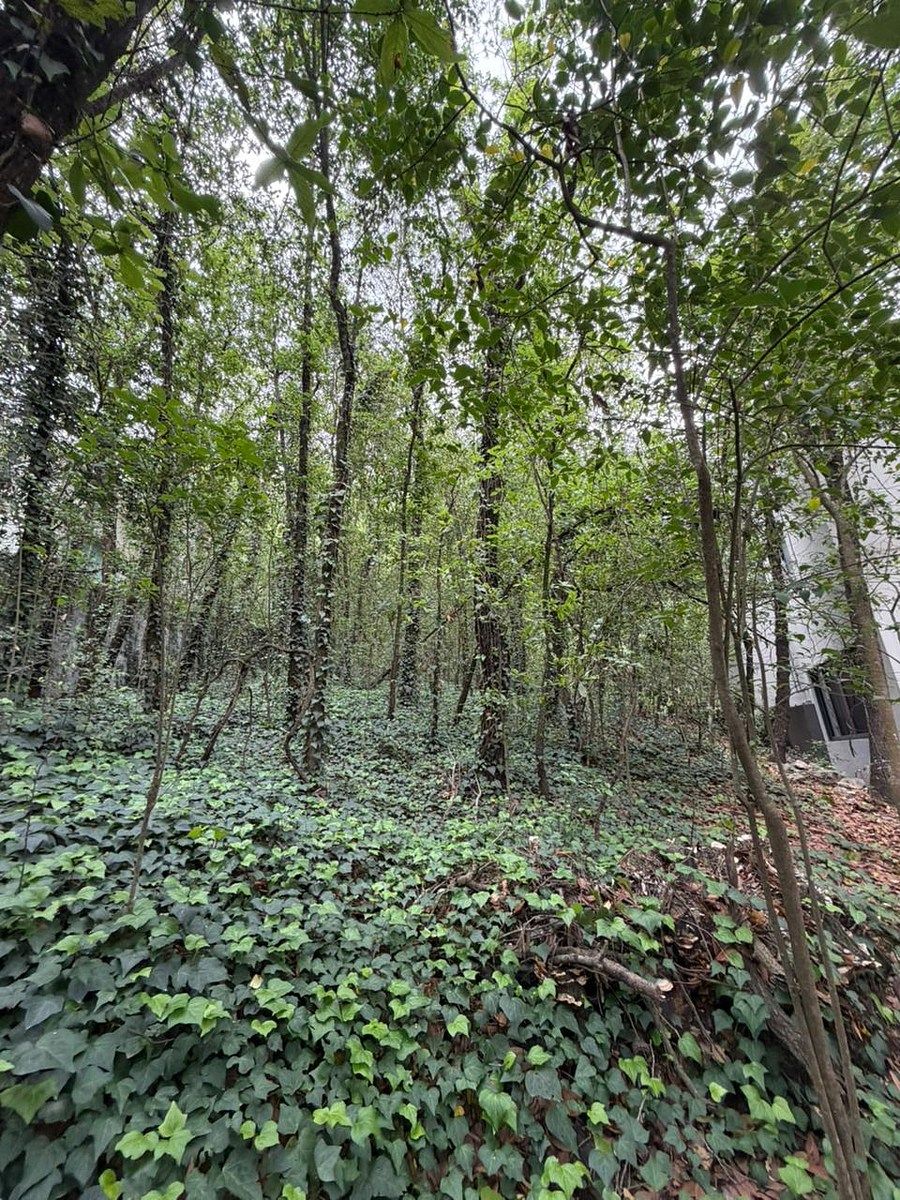 Lot in Bosques de San Ángel Sector Palmillas, San Pedro Garza García, photo 8 of 15