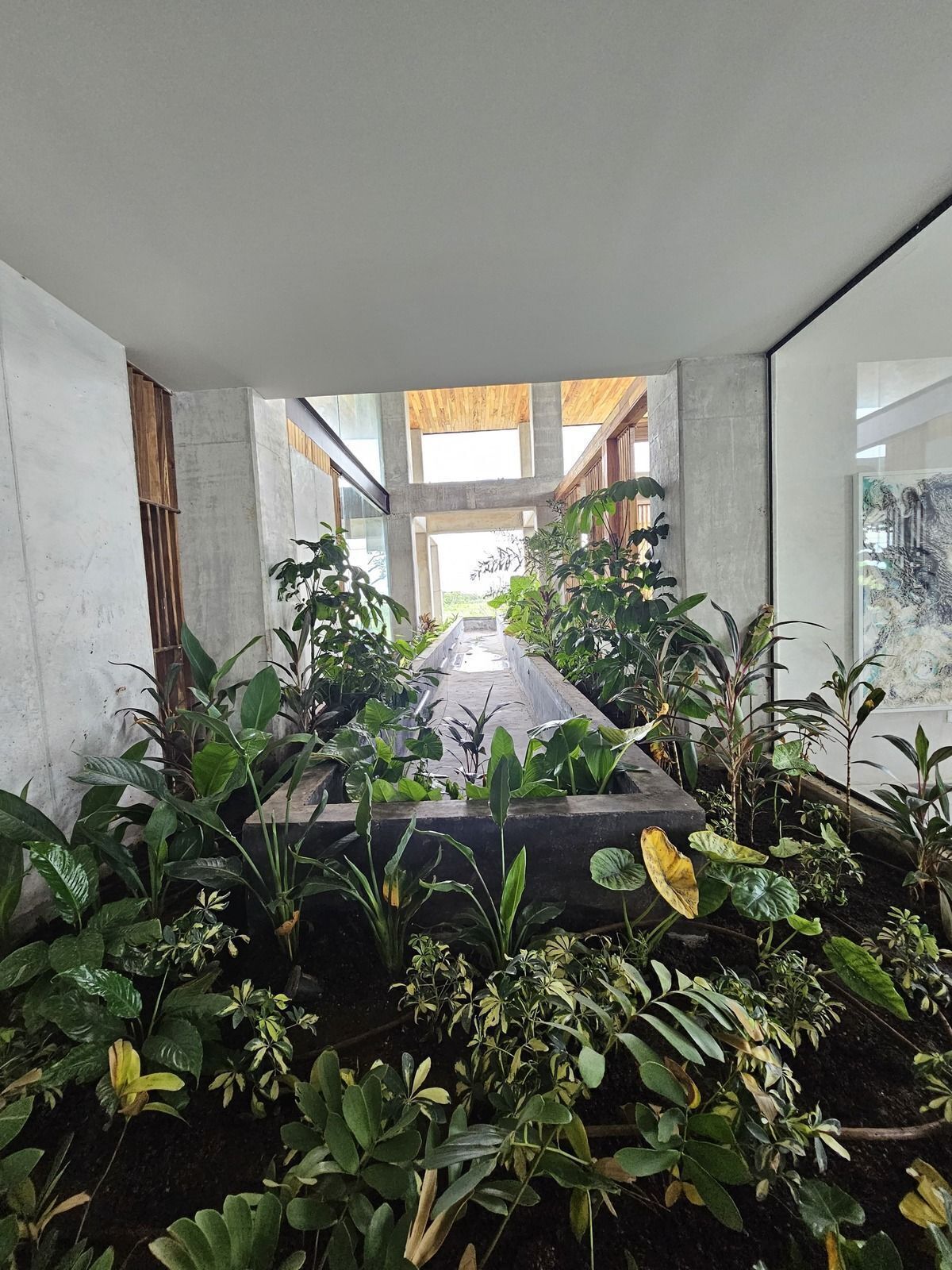 Apartamento em Santa Gertrudis Copo, Mérida, foto 12 de 21