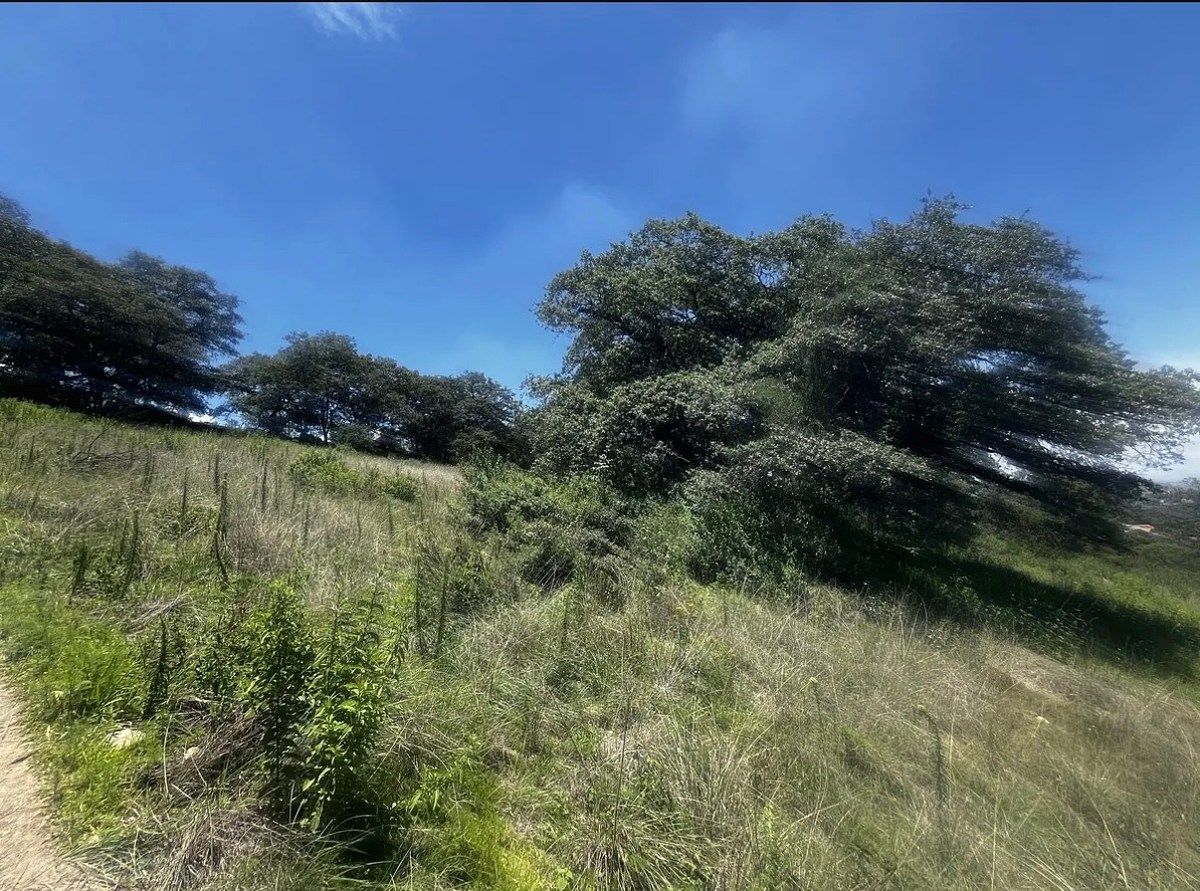 Terreno en Fincas de Sayavedra, Atizapán de Zaragoza, foto 4 de 18