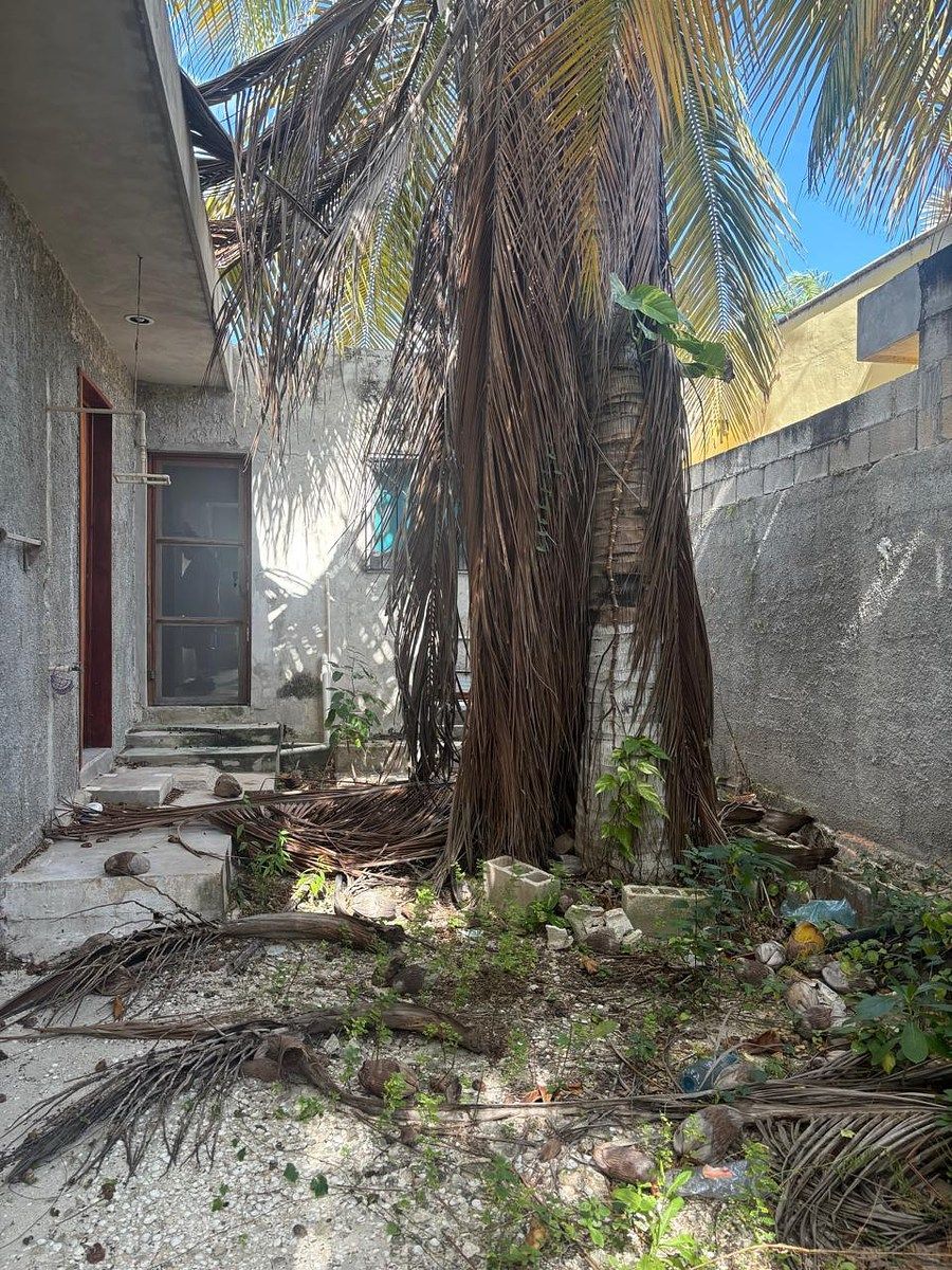 Casa en Celestun, Celestún, foto 9 de 11