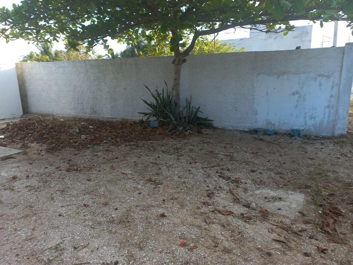 Casa en Celestun, Celestún, foto 10 de 11