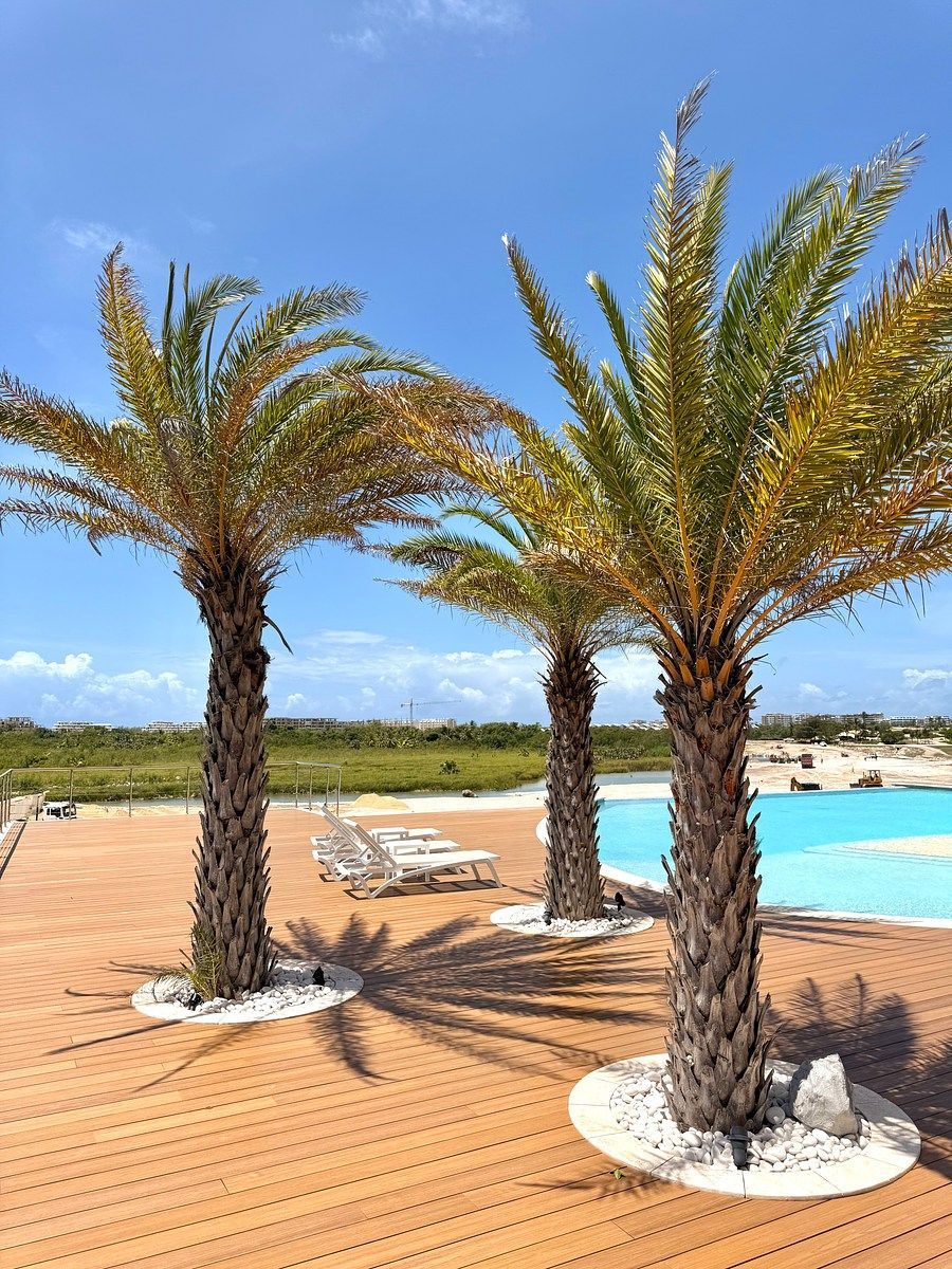 Apartamento en Cap Cana, Punta Cana, foto 6 de 34