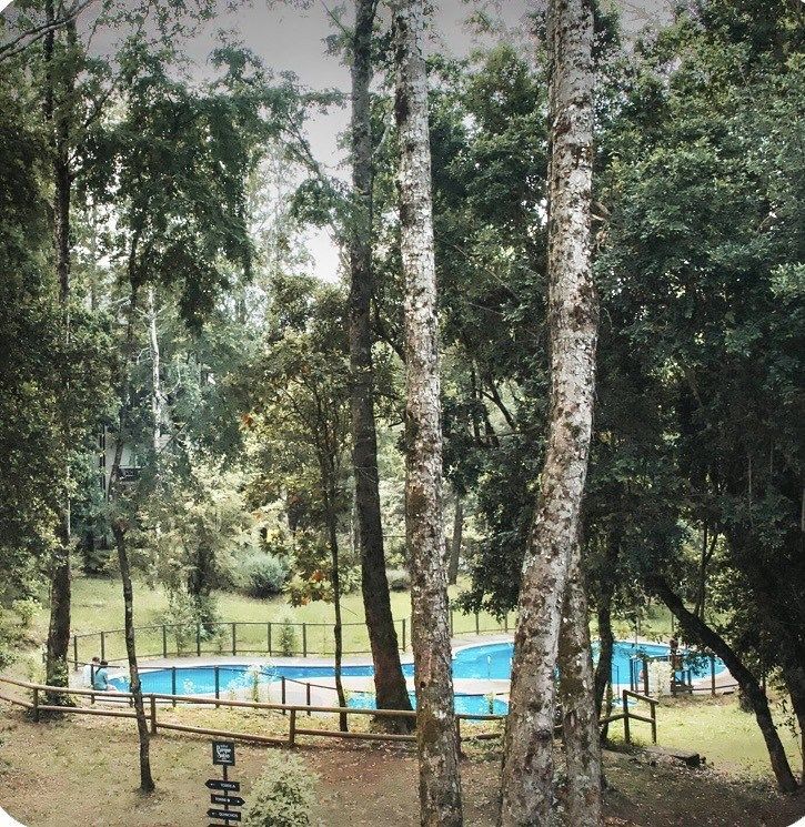 Departamento en Camino al Volcán, Pucón, foto 2 de 23