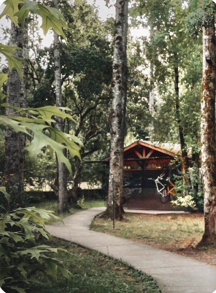 Departamento en Camino al Volcán, Pucón, foto 5 de 23