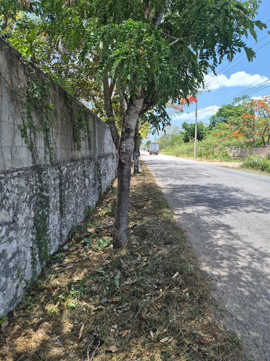 Terreno en Hunucmá, Hunucmá, foto 7 de 7