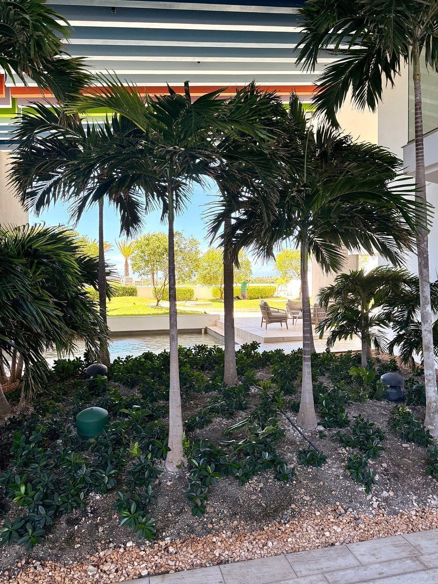 Apartamento en Cap Cana, Punta Cana, foto 19 de 34