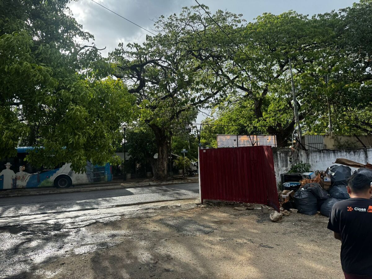 Terreno en Mérida Centro, Mérida, foto 3 de 19