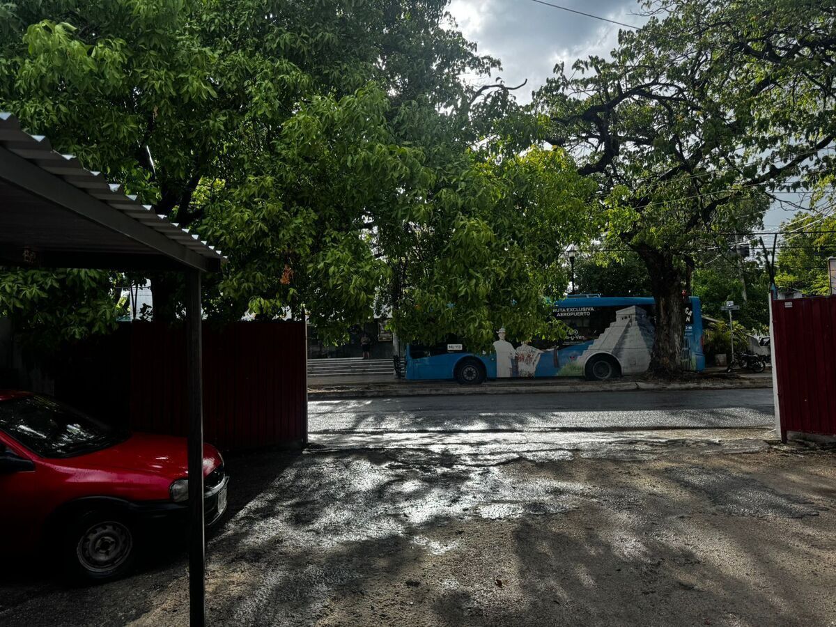 Terreno en Mérida Centro, Mérida, foto 4 de 19