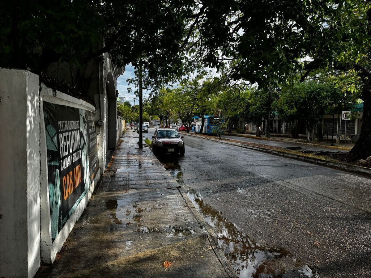 Terreno en Mérida Centro, Mérida, foto 14 de 19