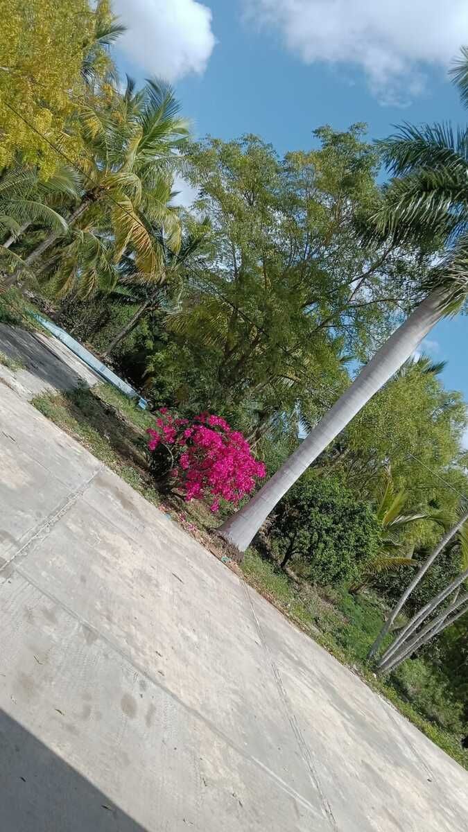 Lot in Yobain, Yobaín, photo 11 of 16