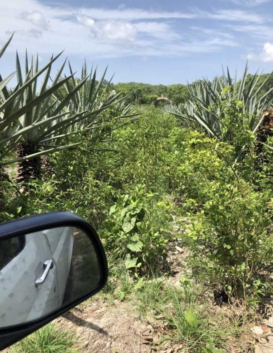 Lote em Hunucmá, Hunucmá, foto 5 de 8