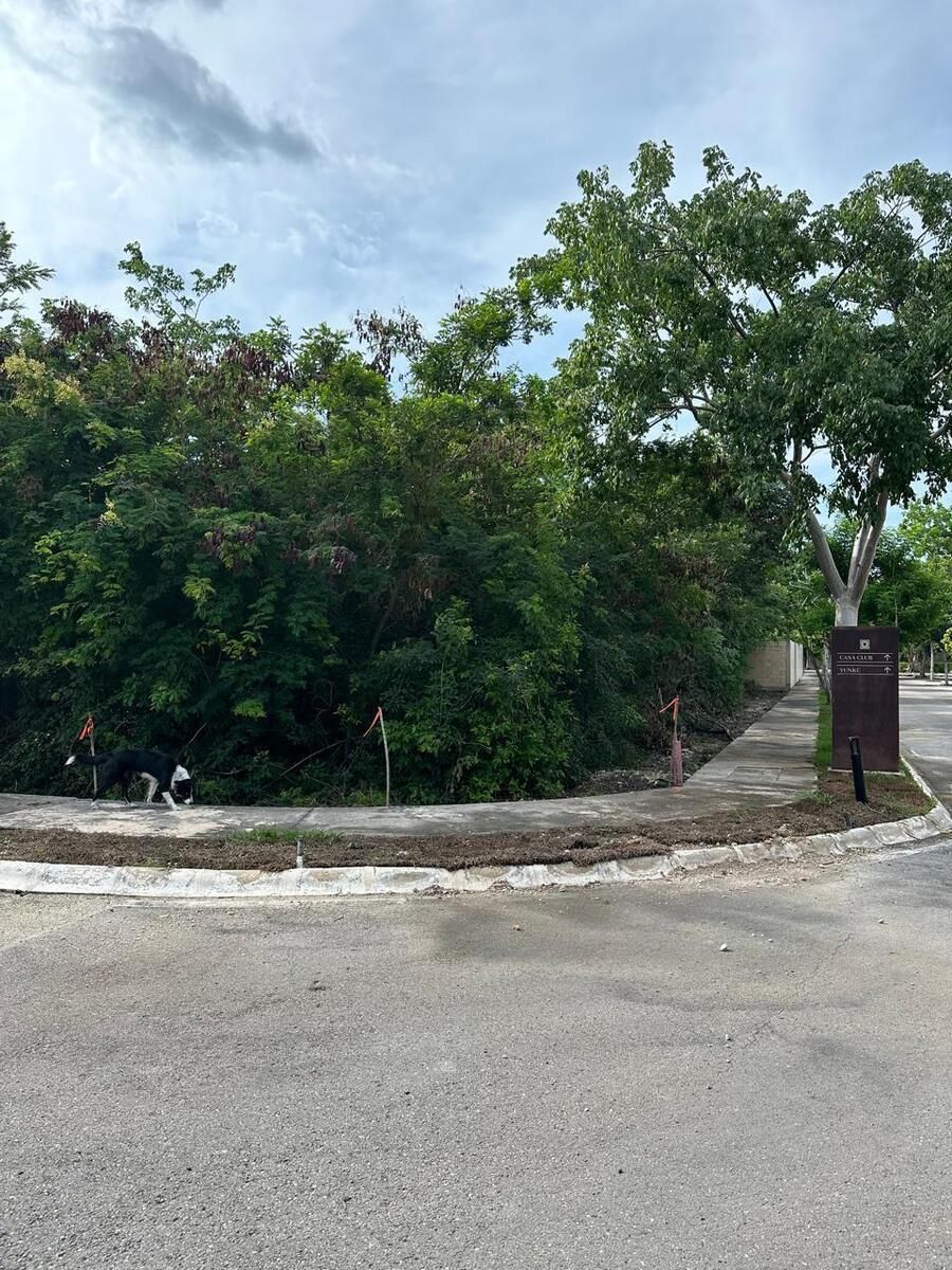 Terreno en Chablekal, Mérida, foto 4 de 17
