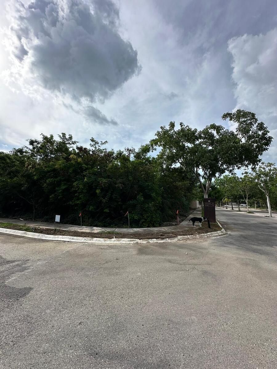 Terreno en Chablekal, Mérida, foto 5 de 17