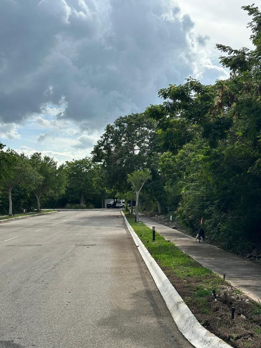 Terreno en Chablekal, Mérida, foto 7 de 17