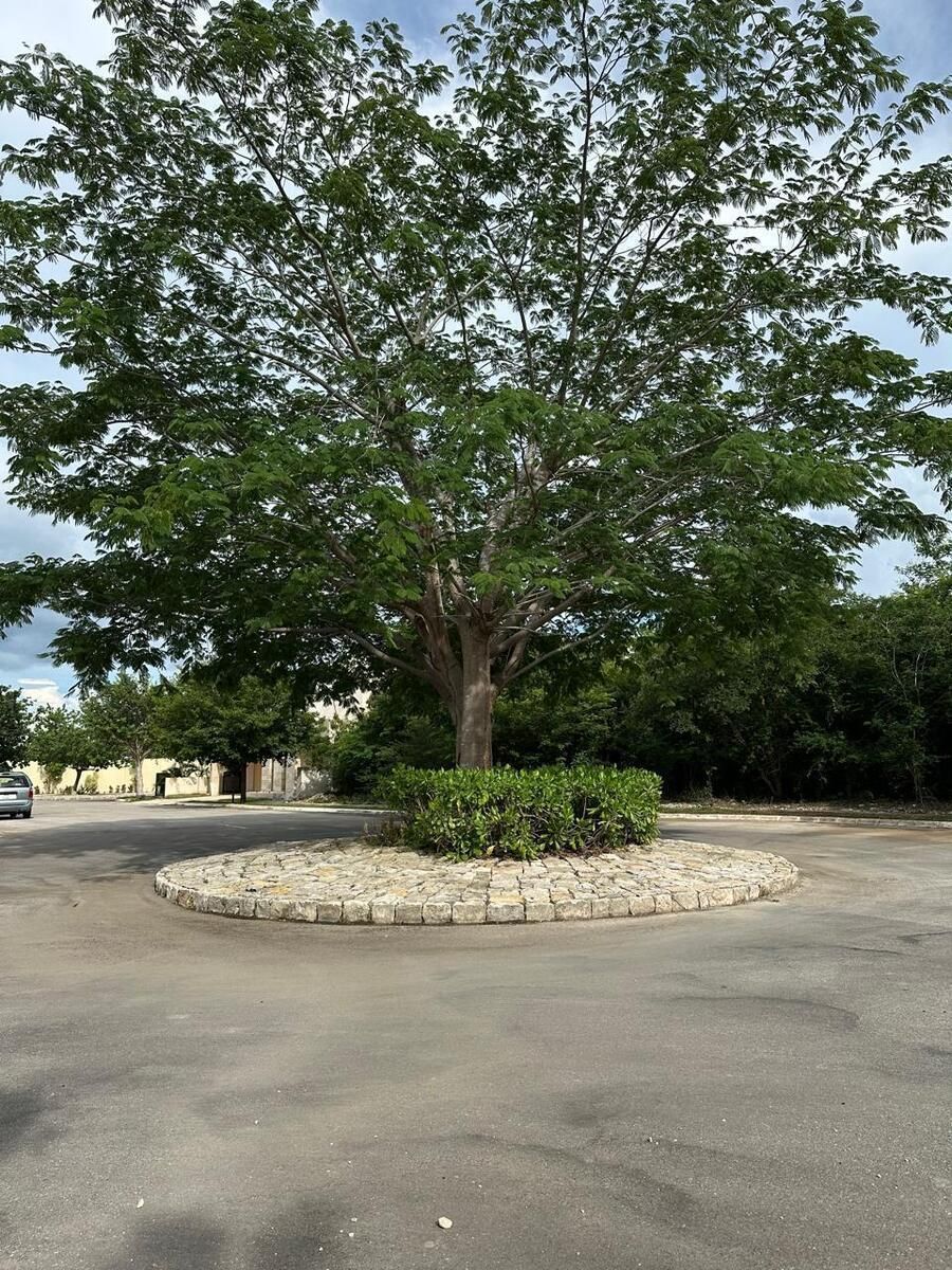 Terreno en Chablekal, Mérida, foto 8 de 17