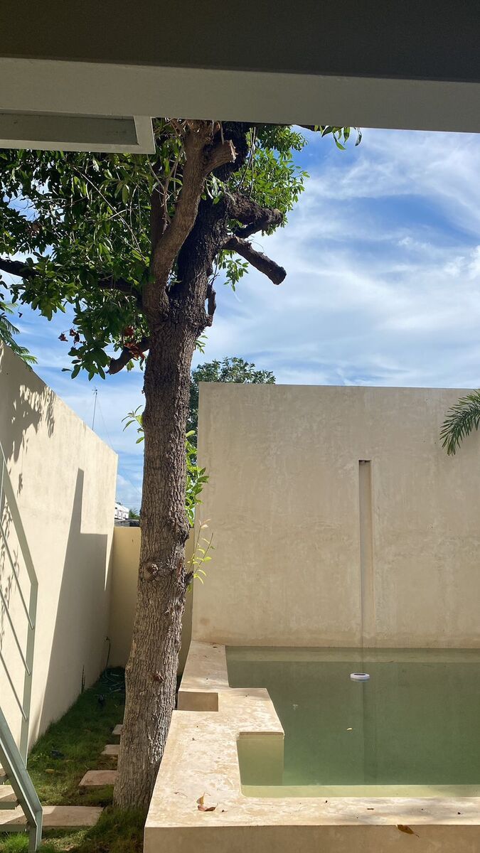 Casa en Mérida Centro, Mérida, foto 14 de 22